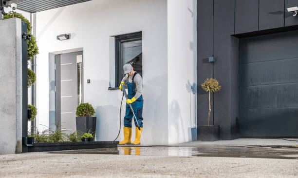 Best Sidewalk and Walkway Cleaning  in Wasilla, AK